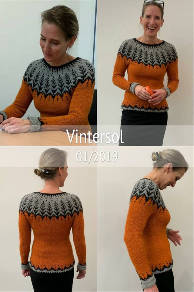 Vintersol Pulli