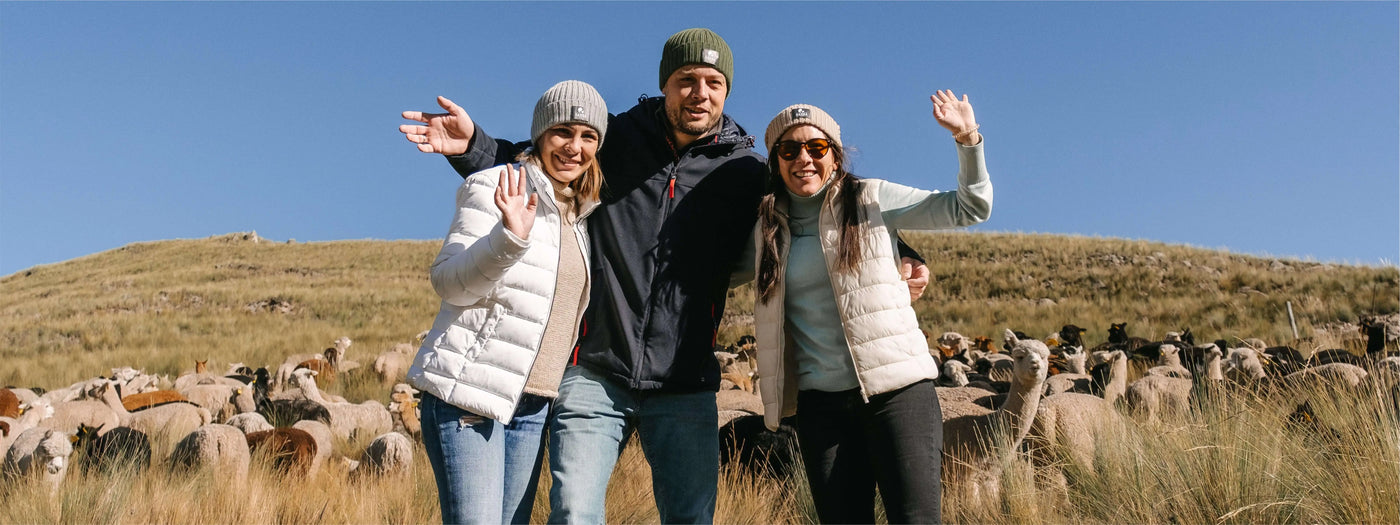 Unser Team Peru besucht die Peruanischen Anden mit Alpakas in Hintergrund
