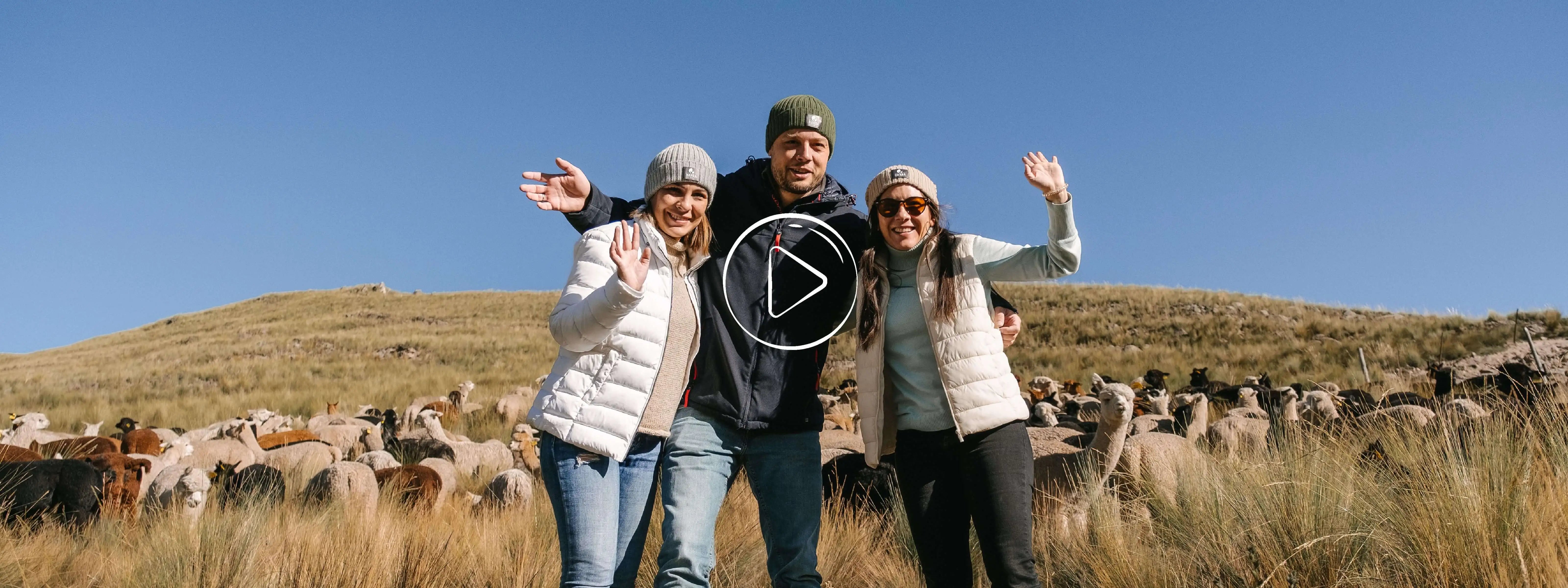 Alpaca Wool Experts For 100 Fair Trade Baby Alpaca Wool Hansa Farm Alpaca Wool Experts For 100 Fair Trade Baby Alpaca Wool Hansa Farm