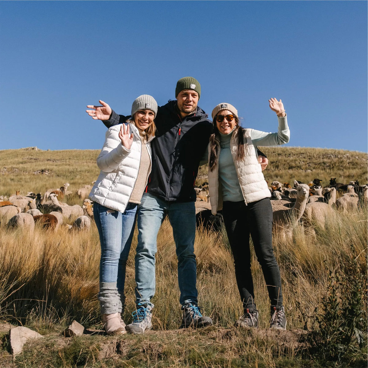 Team Hansafarm in den Peruanischen Anden mit Alpakas im Hintergrund