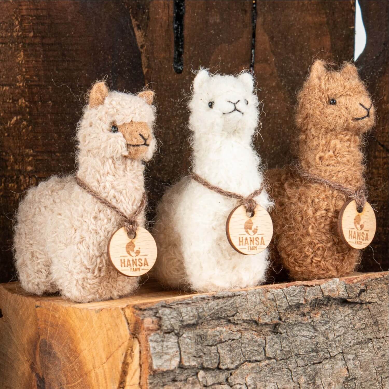 Mini Alpacas – Hansa-Farm