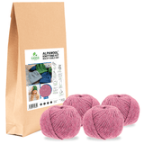 ALPAWOOL® Baby 50 Strick-Set Mütze Beere Melange HF197